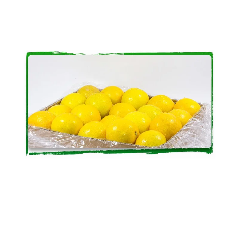 Fresh Lemon Takarom
